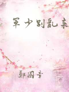 军少别乱来
