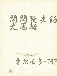 闪闪发光的小说大团结