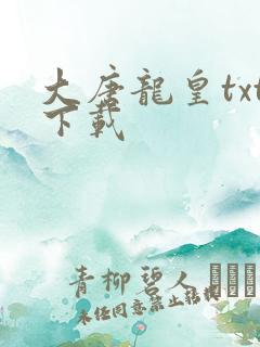 大唐龙皇txt下载