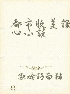都市收美录宁素心小说