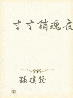 寸寸销魂夜春光