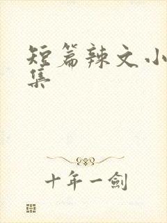 短篇辣文小说合集