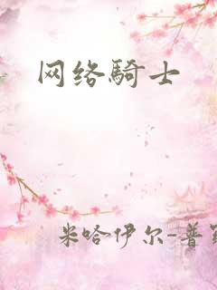 网络骑士