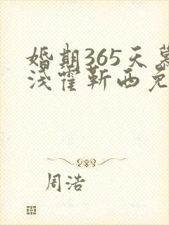 婚期365天慕浅霍靳西免费阅读