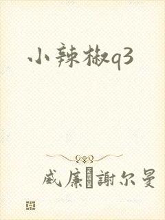 小辣椒q3