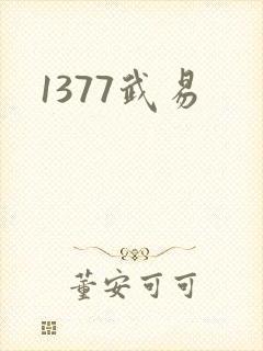 1377武易