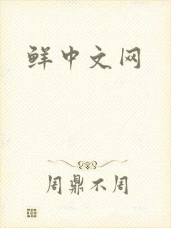 鲜中文网
