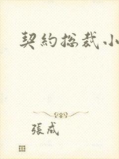 契约总裁小萌宝