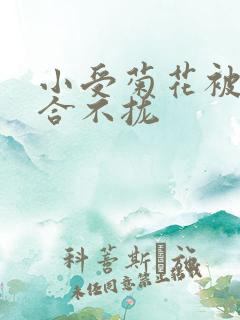 小受菊花被双龙合不拢