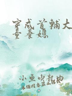 穿成首辅大人的童养媳