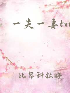 一夫一妻txt