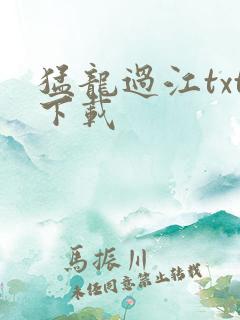 猛龙过江txt下载