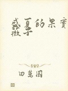 盛夏的果实 小薇子