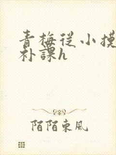 青梅从小摸到大补课h
