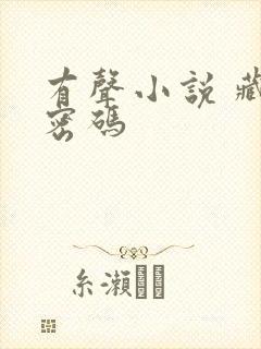 有声小说 藏地密码