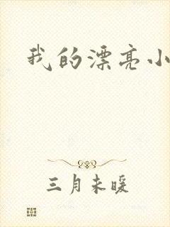 我的漂亮小后妈