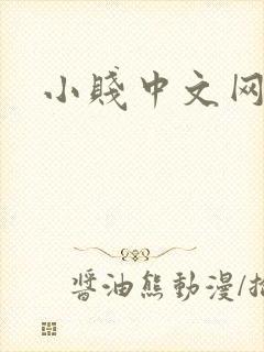 小贱中文网