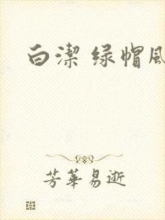 白洁 绿帽风云