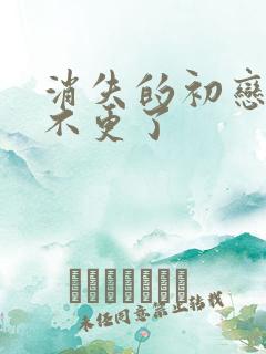 消失的初恋为啥不更了