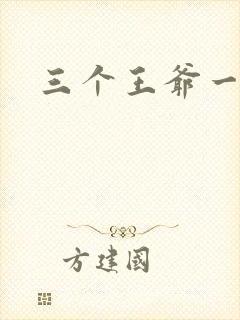 三个王爷一个妃