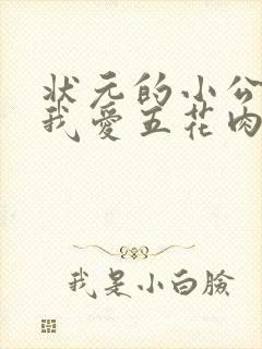 状元的小公主(我爱五花肉)