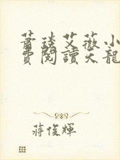 萧琰艾薇小说免费阅读天龙殿