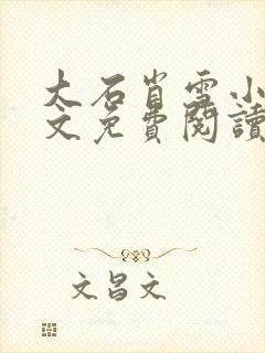 大石肖雪小说全文免费阅读