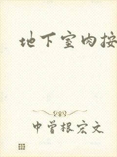 地下室肉按摩椅