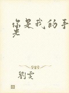 你是我的手冢国光