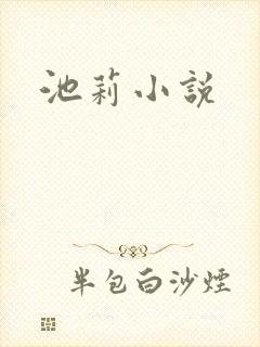 池莉小说