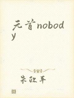 元首nobody
