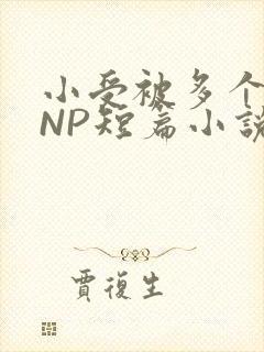 小受被多个攻强NP短篇小说