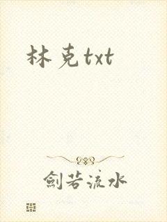 林克txt