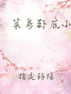 菜鸟卧底小正太