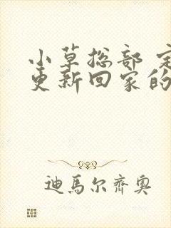 小草总部 定期更新回家的路