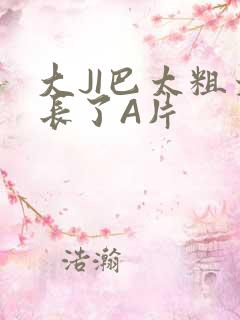 大JI巴太粗太长了A片