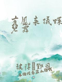 有凤来仪蝶儿蝶儿舞