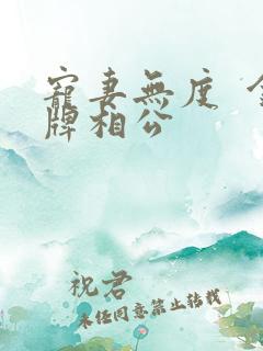 宠妻无度  金牌相公