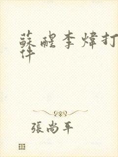 苏醒李炜打架事件