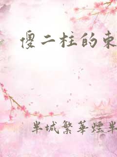 傻二柱的东西大