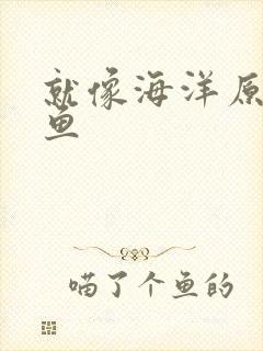就像海洋原谅了鱼