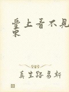 爱上看不见的房东