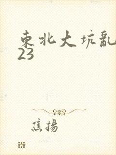 东北大坑乱1—23