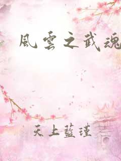 风云之武魂