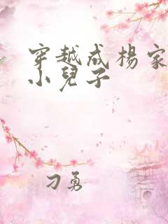 穿越成杨家将最小儿子