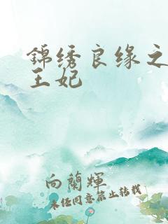 锦绣良缘之北地王妃