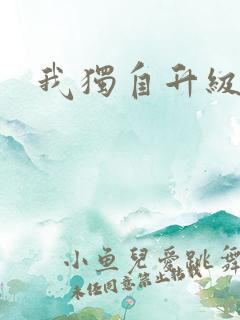 我独自升级小说