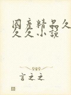 国产精品久久久久久小说