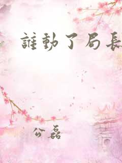 谁动了局长夫人