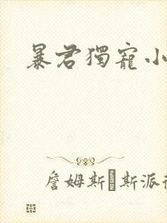 暴君独宠小俏后